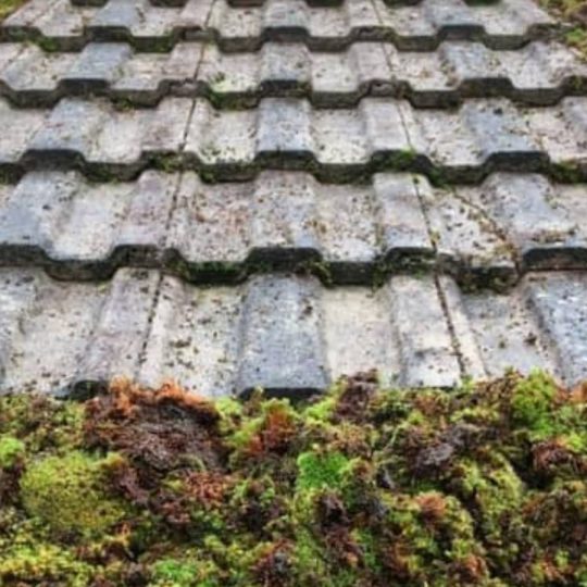 Roof Scraping in North Devon