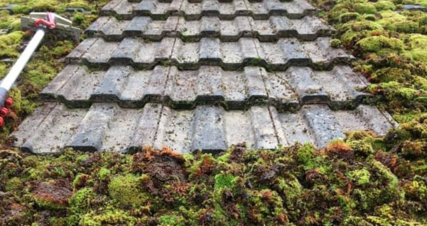 Roof Scraping in North Devon